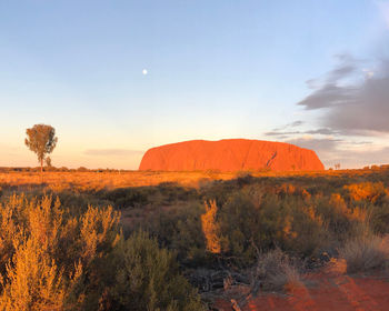 Scenic view of landscape against sky during sunset