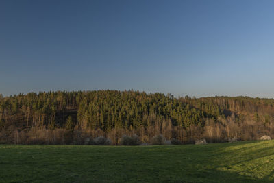 Scenic view of field against clear sky