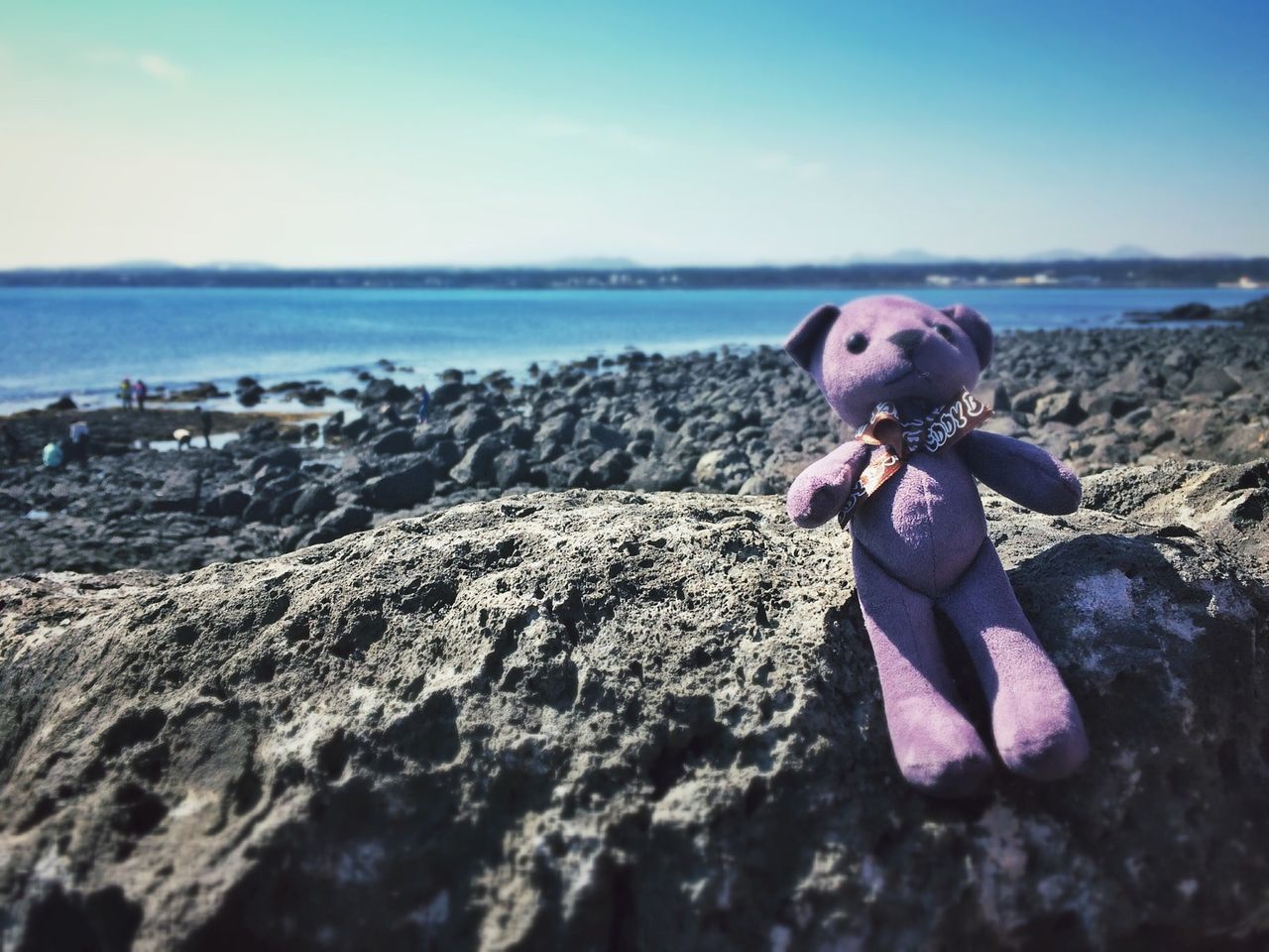 sea, beach, water, shore, dog, looking at camera, horizon over water, portrait, sky, rock - object, pets, sand, nature, person, lifestyles, focus on foreground, leisure activity, full length