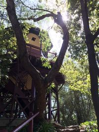 Low angle view of trees