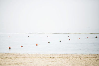 Scenic view of beach against clear sky