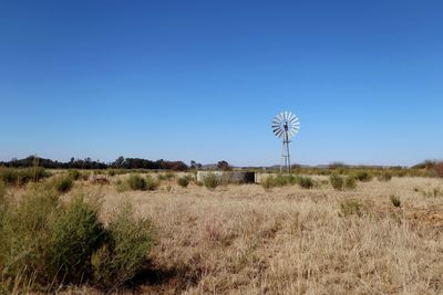 Plants on field against clear blue sky