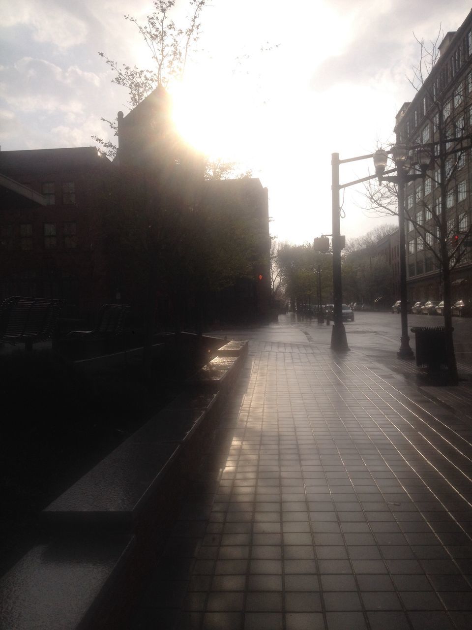 sunlight, sky, building exterior, architecture, built structure, the way forward, sun, sunbeam, city, diminishing perspective, lens flare, tree, vanishing point, street, street light, empty, sunny, transportation, sidewalk, outdoors