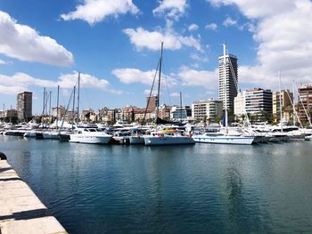 Sailboats moored in harbor