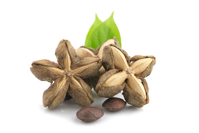 Close-up of fruits against white background