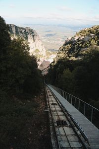 Railroad tracks amidst trees against sky