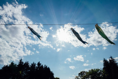 Low angle view of trees against sky