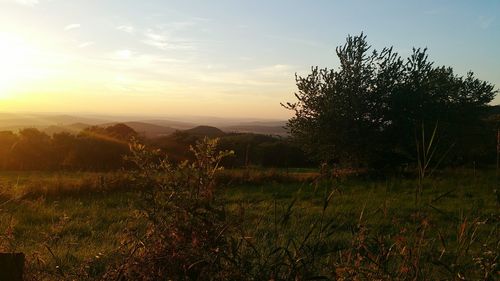 Scenic view of field against sky during sunset