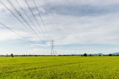 Scenic view of field against sky