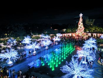 Illuminated christmas tree at night