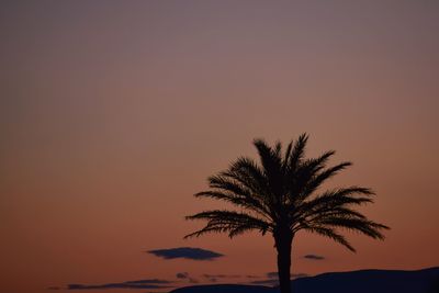 Silhouette palm tree against orange sky