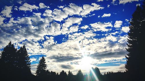 Low angle view of silhouette trees against blue sky