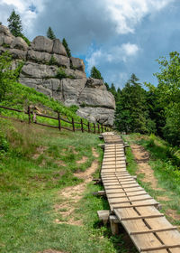 Tustan, ukraine. old russian cliff-side defensive complex in tustan, ukraine, on a summer day