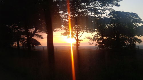 Scenic view of trees against sky during sunset