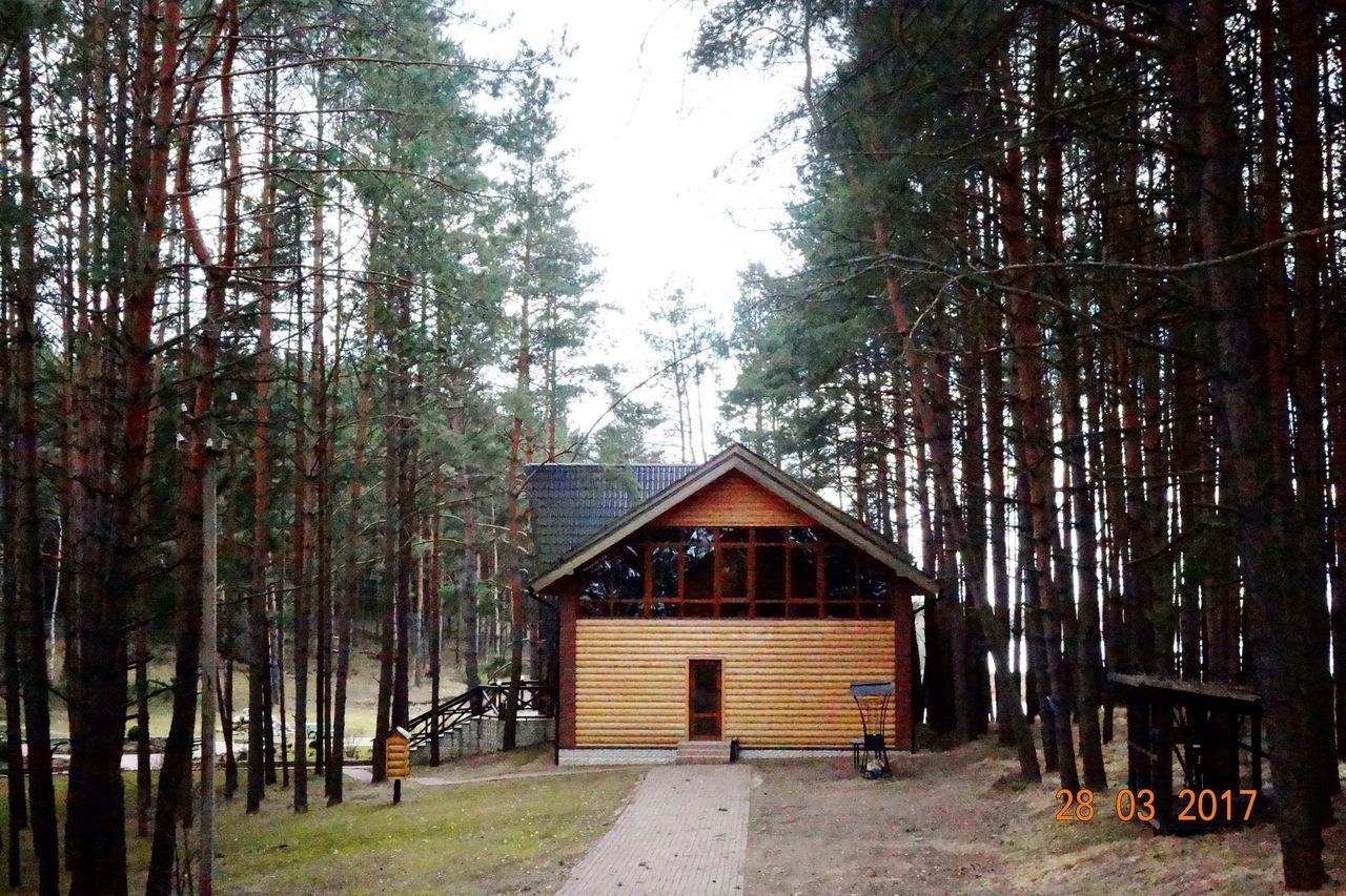 BUILT STRUCTURE IN FOREST