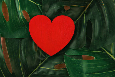 Close-up of heart shape with red leaves