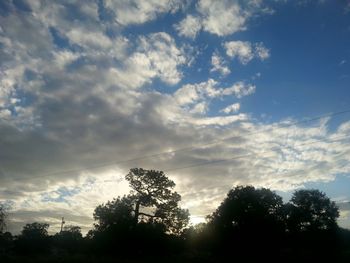 Low angle view of trees against cloudy sky