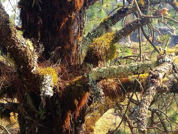 Scenic view of river