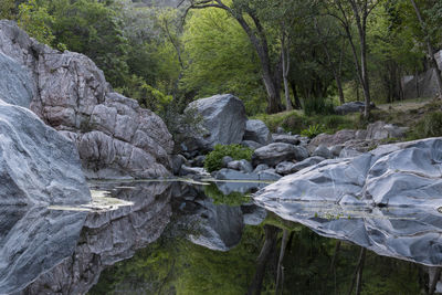 wilderness