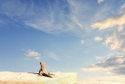 View of horse on rock against sky