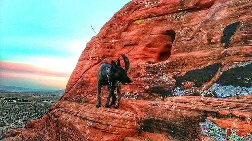 Rock formations against sky