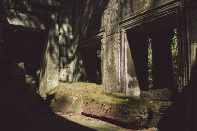 Abandoned building in forest