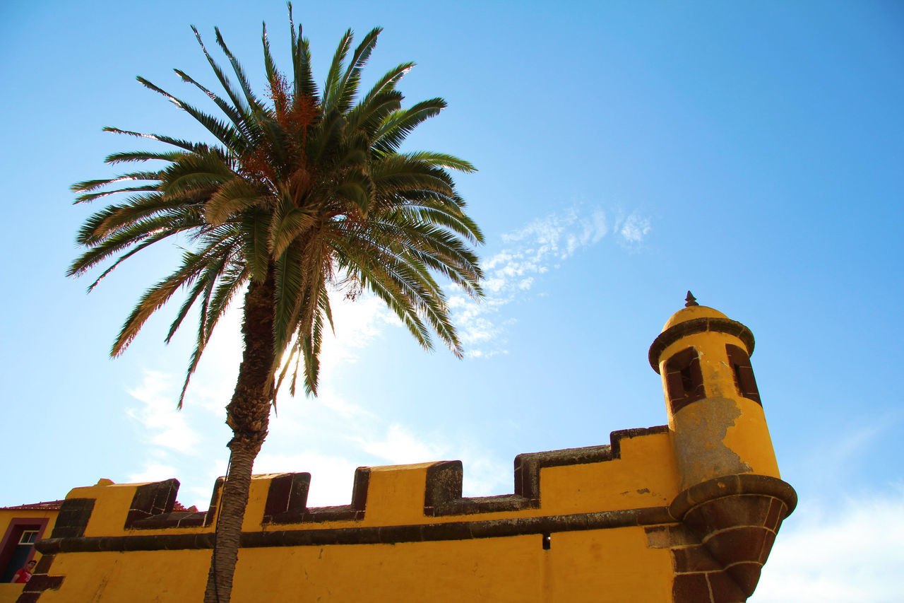 architecture, low angle view, building exterior, built structure, blue, sky, tree, clear sky, high section, tower, palm tree, outdoors, day, building, no people, house, city, copy space, residential building, tall - high