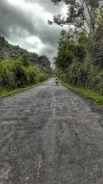 Road amidst trees against sky