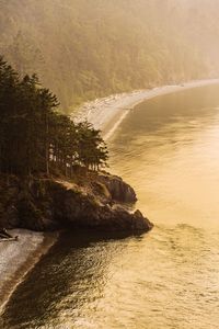 Scenic view of sea against trees in forest