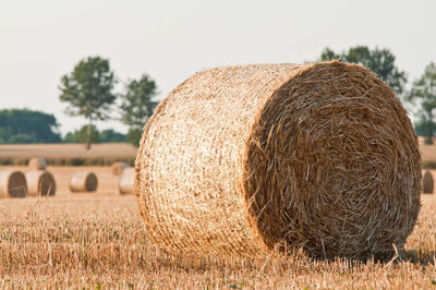 Hay bales on land against sky