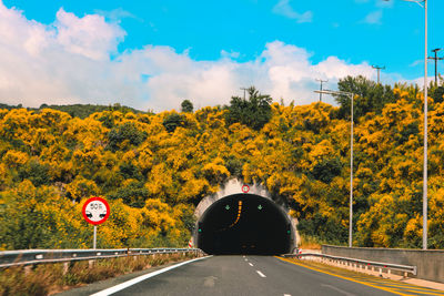 Open road with a tunnel with yellow flowers