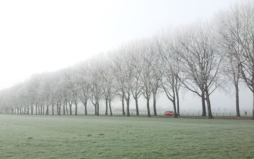 Bare trees on landscape during winter