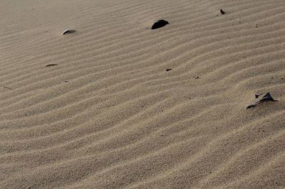 Full frame shot of sand dunes