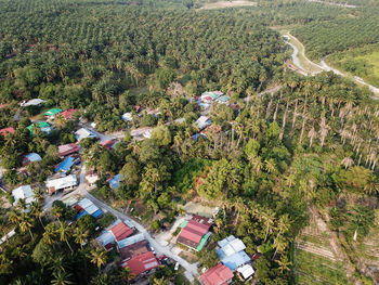 High angle view of trees and road in city