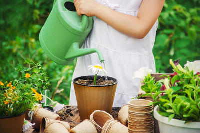 Midsection of woman holding potted plant