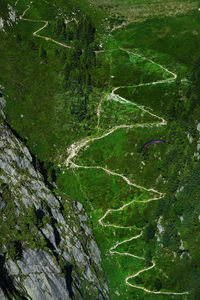 High angle view of road amidst trees