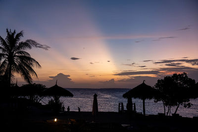 Silhouette palm trees on beach against sky during sunset