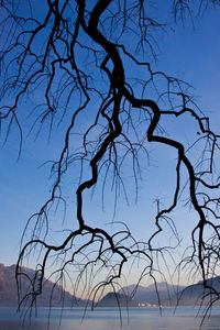 Silhouette bare tree against sky