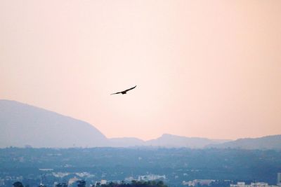 Silhouette of birds flying over mountain against sky