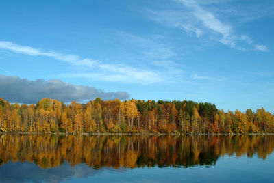 Reflection of trees on lake during autumn