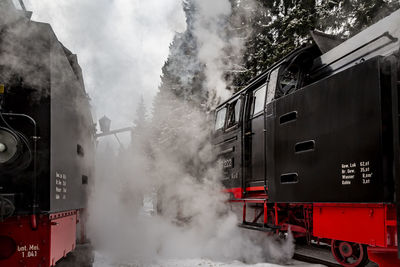 Train on railroad tracks amidst trees