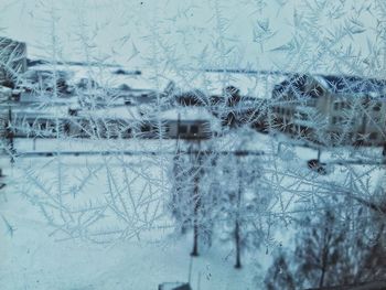 Close-up of snowflakes on glass window