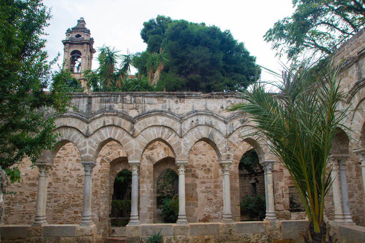 architecture, built structure, tree, arch, history, plant, the past, building exterior, building, travel destinations, place of worship, historic site, religion, nature, ancient history, no people, travel, ruins, belief, tourism, day, ancient, sky, outdoors, landmark, old, spirituality, architectural column