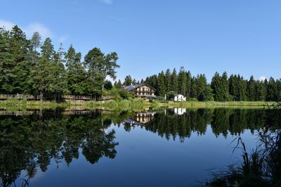 Scenic view of lake by trees against sky