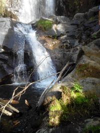 Stream flowing through rocks