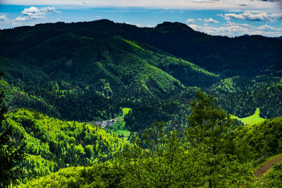 Scenic view of mountains