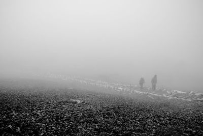 Scenic view of agricultural field during winter