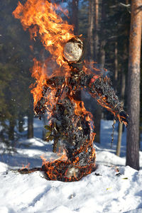 Firework display on snow covered field