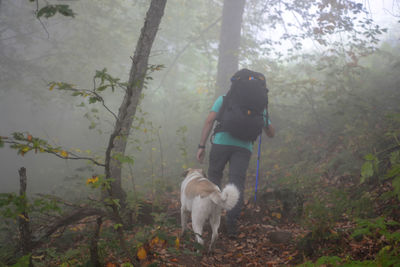 Man with dog in the forest