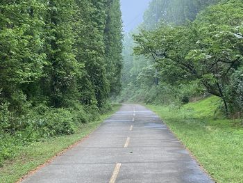 Road amidst trees